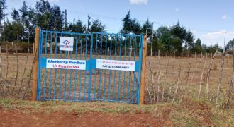 1/4 Plots – Chepkanga, Eldoret