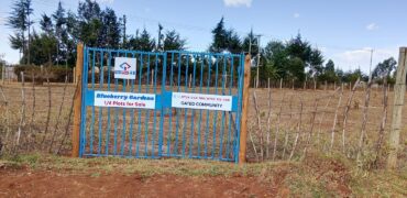 1/4 Plots – Chepkanga, Eldoret
