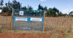 1/4 Plots – Chepkanga, Eldoret